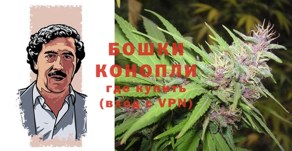 дурь Алзамай